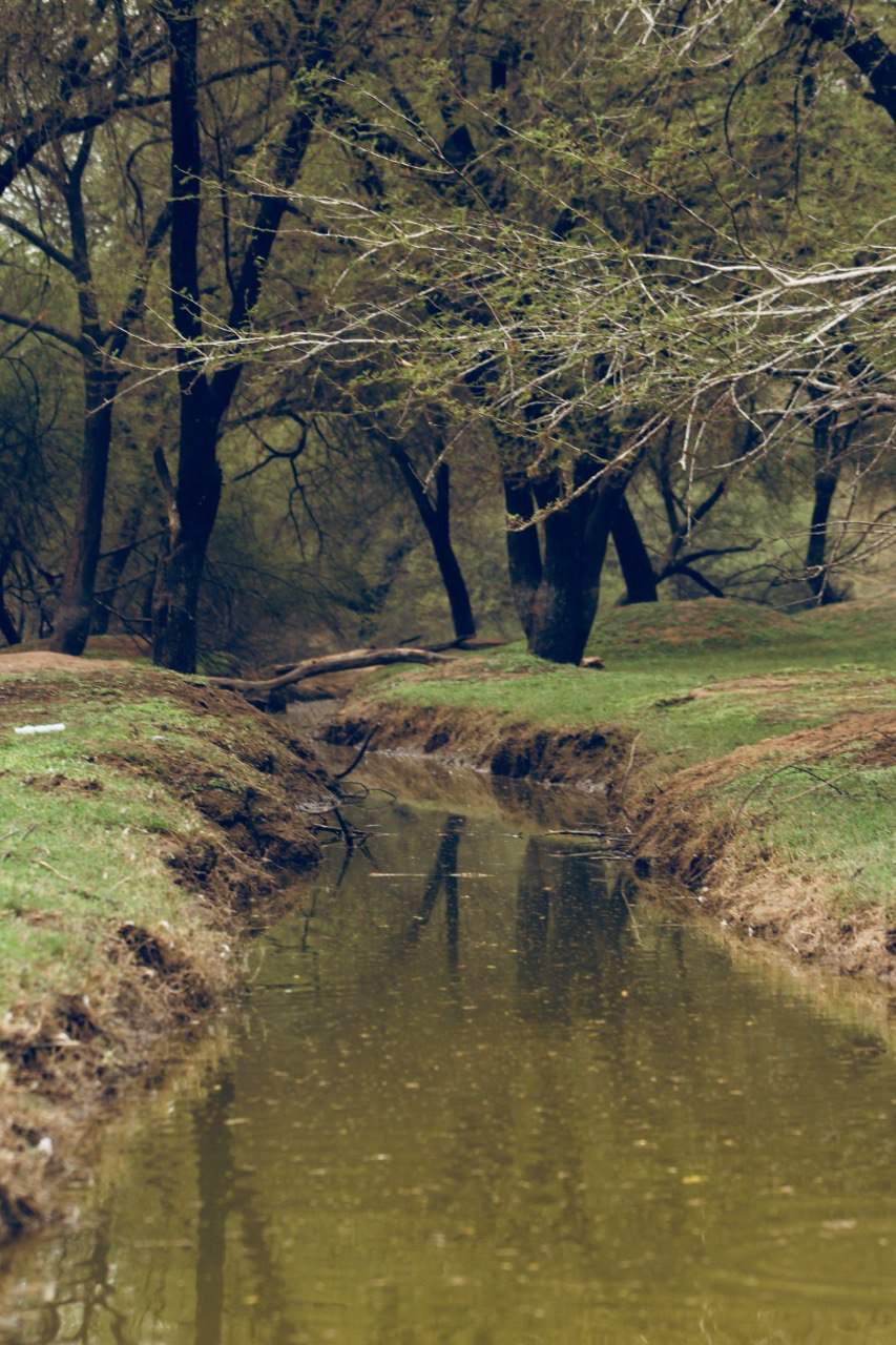 Dark Lake 1